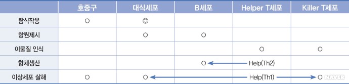 각 세포의 기능.jpg