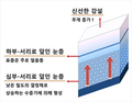 2024년 4월 18일 (목) 09:42 판의 섬네일