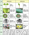 2024년 8월 20일 (화) 09:30 판의 섬네일