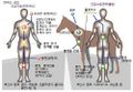 2024년 11월 14일 (목) 16:37 판의 섬네일