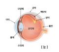 2022년 10월 14일 (금) 14:20 판의 섬네일