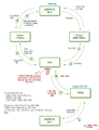 2020년 6월 8일 (월) 13:55 판의 섬네일