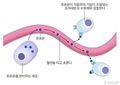 2024년 11월 21일 (목) 16:08 판의 섬네일