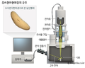 2024년 9월 14일 (토) 14:35 판의 섬네일