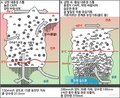 2024년 4월 2일 (화) 11:41 판의 섬네일