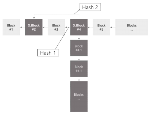 엑스블록의 다중해시 연결구조.PNG