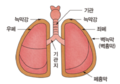 2022년 12월 12일 (월) 11:44 판의 섬네일