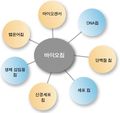 2024년 12월 9일 (월) 16:32 판의 섬네일