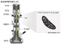 2024년 9월 14일 (토) 14:34 판의 섬네일