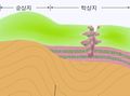 2024년 7월 16일 (화) 13:55 판의 섬네일