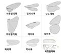 2024년 12월 18일 (수) 15:04 판의 섬네일