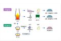 2024년 5월 13일 (월) 14:15 판의 섬네일