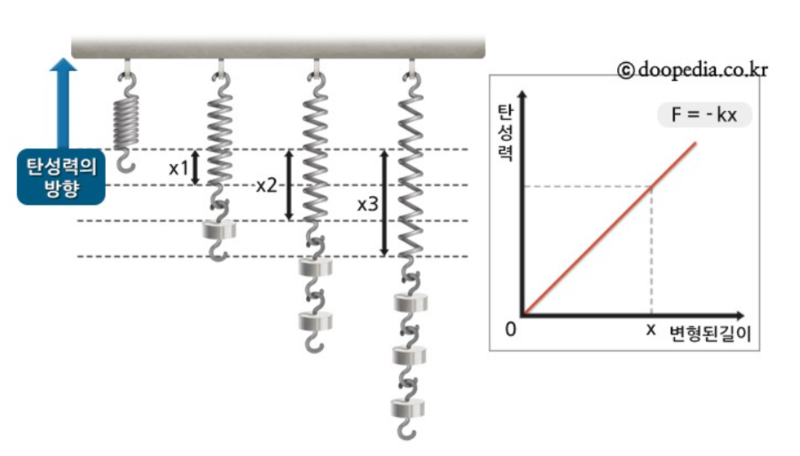 훅의 법칙.png