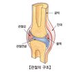 2022년 7월 22일 (금) 17:23 판의 섬네일