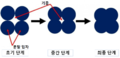 2022년 8월 23일 (화) 14:34 판의 섬네일