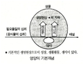 2024년 11월 19일 (화) 10:53 판의 섬네일