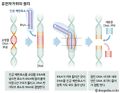 2024년 11월 20일 (수) 10:18 판의 섬네일