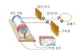 2021년 8월 11일 (수) 13:38 판의 섬네일