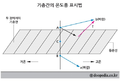 2024년 6월 7일 (금) 14:14 판의 섬네일