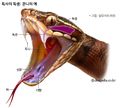 2025년 1월 8일 (수) 16:24 판의 섬네일