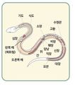 2025년 1월 9일 (목) 09:11 판의 섬네일