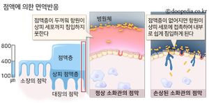 점액에 의한 면역반응.jpg