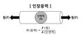 2022년 7월 13일 (수) 16:55 판의 섬네일