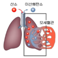 2022년 10월 24일 (월) 13:45 판의 섬네일