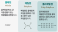 2022년 2월 8일 (화) 14:26 판의 섬네일