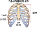 2022년 11월 1일 (화) 16:16 판의 섬네일