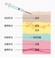 2022년 12월 26일 (월) 11:45 판의 섬네일