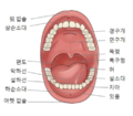 2022년 10월 21일 (금) 11:17 판의 섬네일