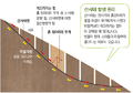 2024년 7월 9일 (화) 10:24 판의 섬네일