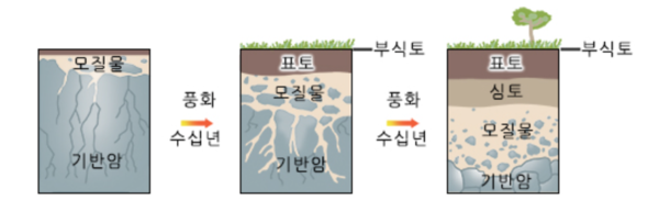 기반암.png