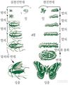 2024년 10월 21일 (월) 11:22 판의 섬네일