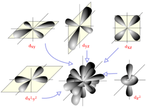 D orbitals.svg.png