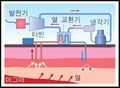 2021년 9월 13일 (월) 10:43 판의 섬네일