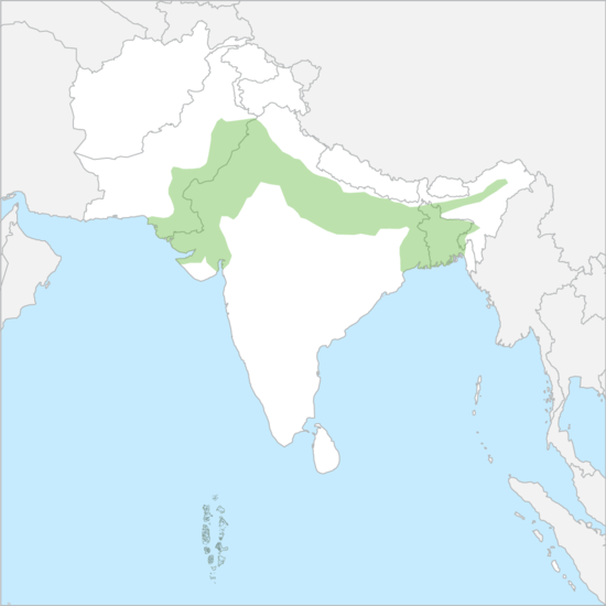 인도대평원 국가 지도